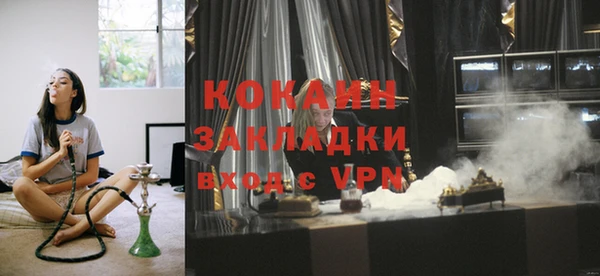 гидра Арсеньев